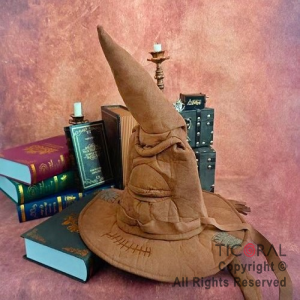 SOMBRERO DE MAGO SELECCIONADOR HARRY POTTER X 1